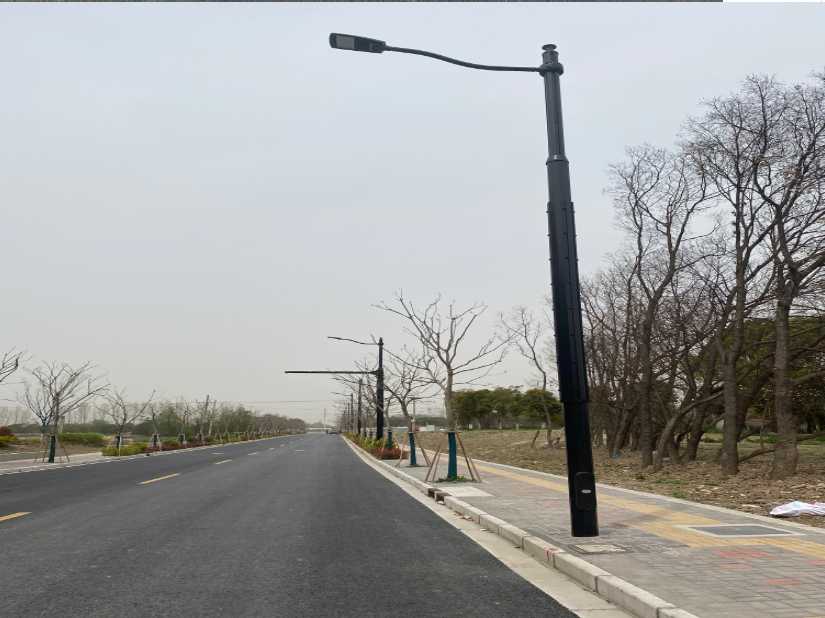 白山市上海综合杆 太阳能路灯工程